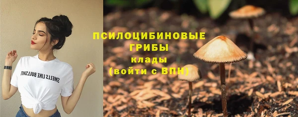 ПСИЛОЦИБИНОВЫЕ ГРИБЫ Бугульма