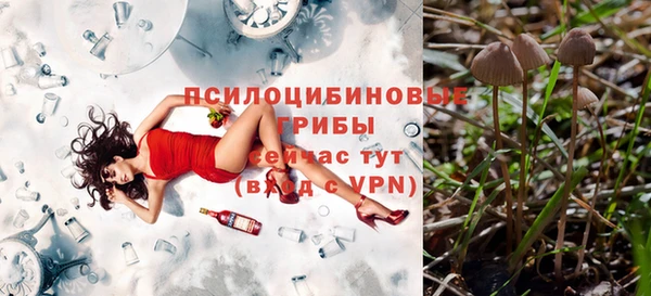 кристаллы Бородино