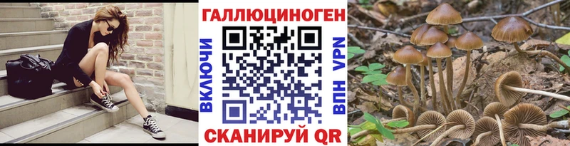 blacksprut ONION  Ейск  Псилоцибиновые грибы Psilocybine cubensis  купить наркоту 